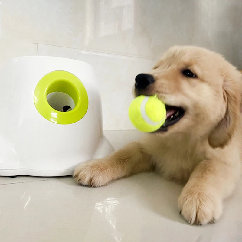 LAZYCAT™Automatic Tennis Ball Launcher for Dogs