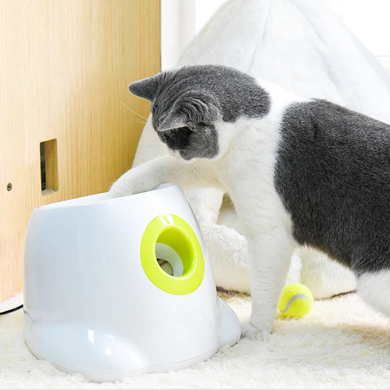 LAZYCAT™Automatic Tennis Ball Launcher for Dogs