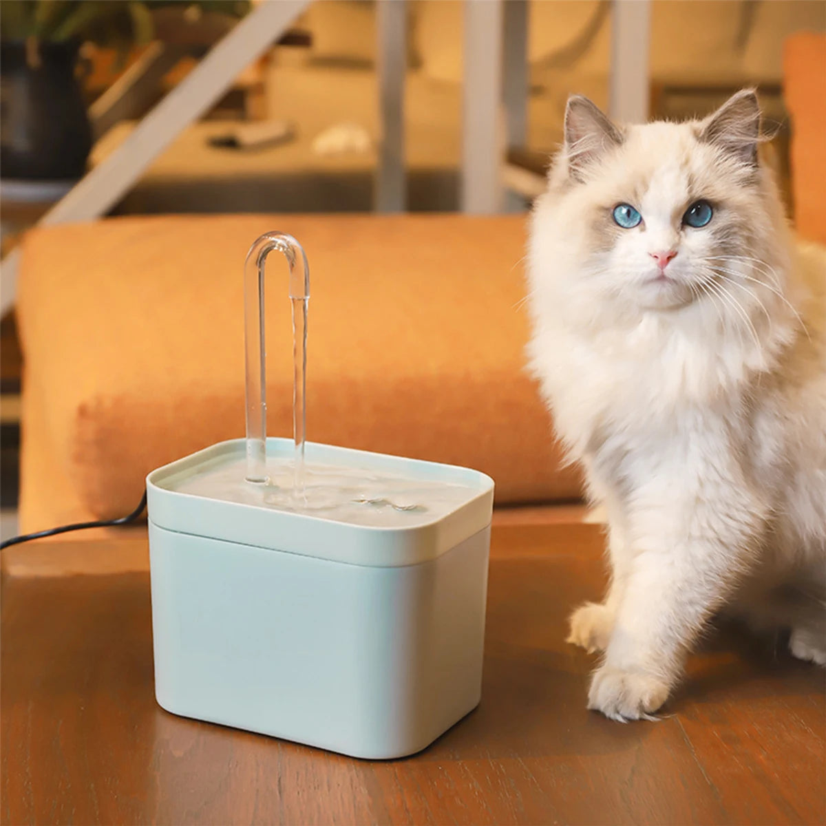 LAZYCAT™ Water Fountain